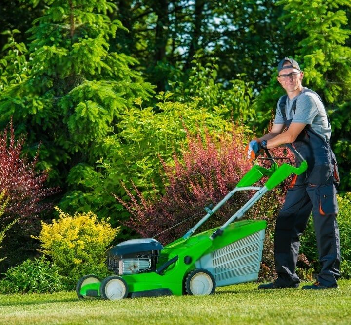 Discover the Secret to a Lush, Vibrant Lawn with The Friends Lawn Care