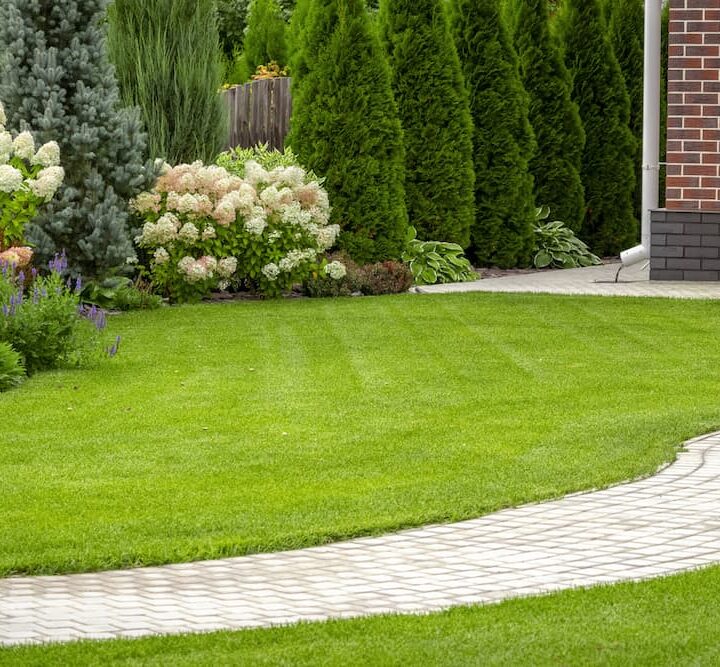 Low Water Landscapes: Sustainable Beauty for Modern Living